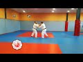 KAZUO ITO GOSHIN JUTSU (Judo Tradicional)