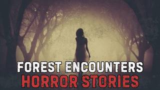8 Disturbing Forest Encounters Caught On Tape