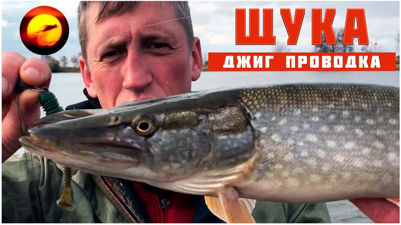 Ловля щуки / Окунь на джиг / Щука осенью / Рыбалка с егерем #1 - YouTube