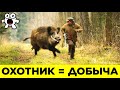 Животные, Которые Отомстили Людям