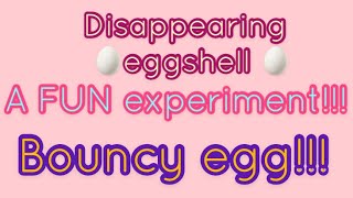 Disappearing Eggshell Experiment | Bouncy Egg | Fun Experiment for Kids!!