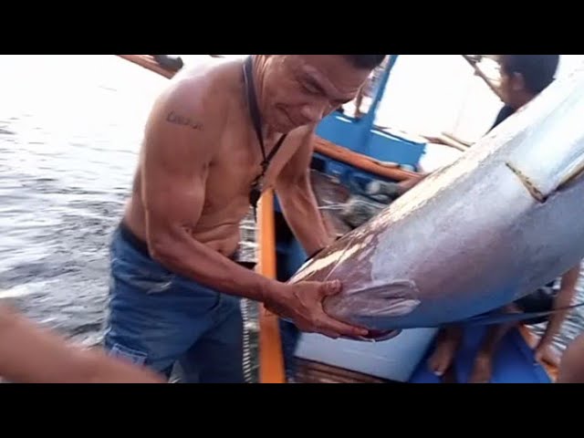 #tuna #matambaka | wow jackpot huli sa payao. alon explorer class=