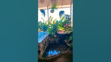 Phòng tắm thư giãn 6 sao chuẩn quốc tế Flamingo núi Cốc...