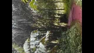 Andre Marie Talla - Ben Sikin