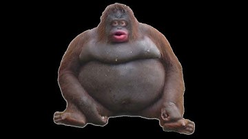 YTP - The AumSum What If Intro ruins this video