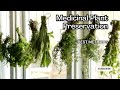 Medicinal Plant Preservation  Best Metho