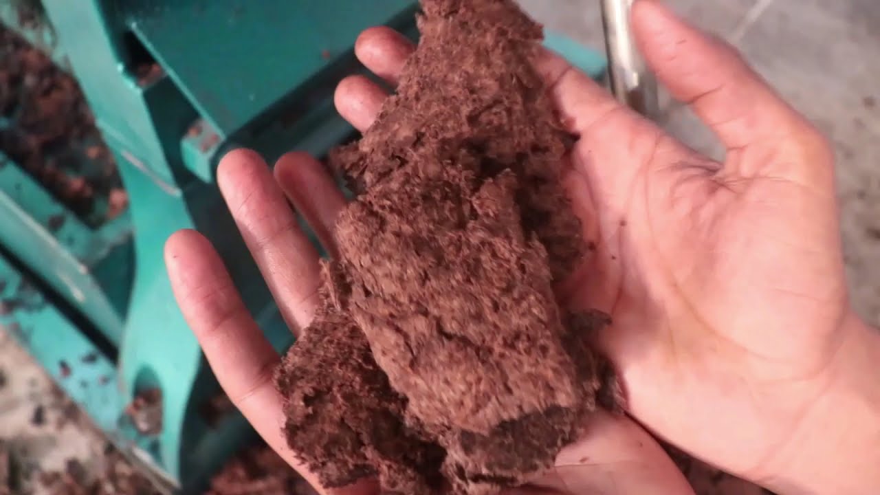 तेल बनाने का बिजनेस ! small business ideas! New business idea's 2021!Oil mill business