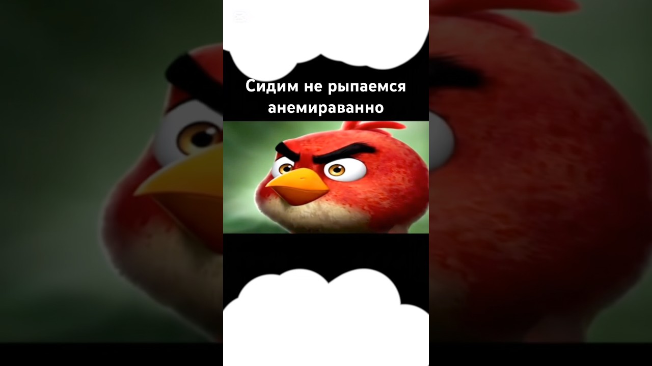 Анимированный мем «Сидим не рыпаемся»🤫 