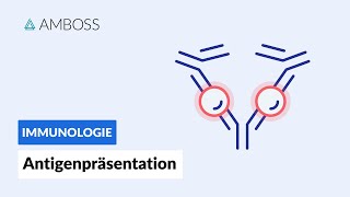 Antigenpräsentation - Biochemie - AMBOSS Video