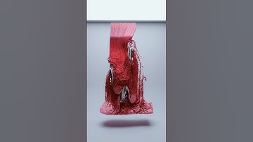 10000+ particles simulation #shorts