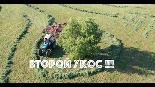 Второй укос клевера и люцерны   2021