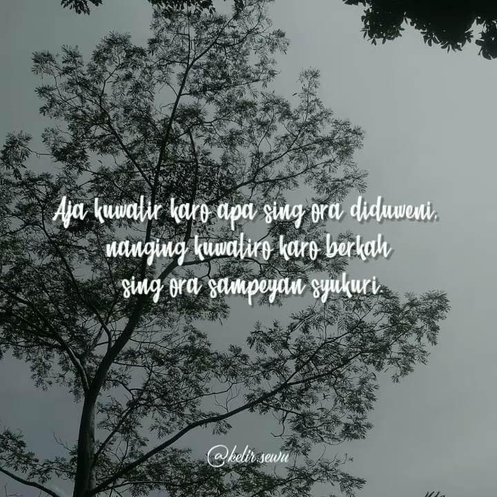Story wa JOWO BIJAK