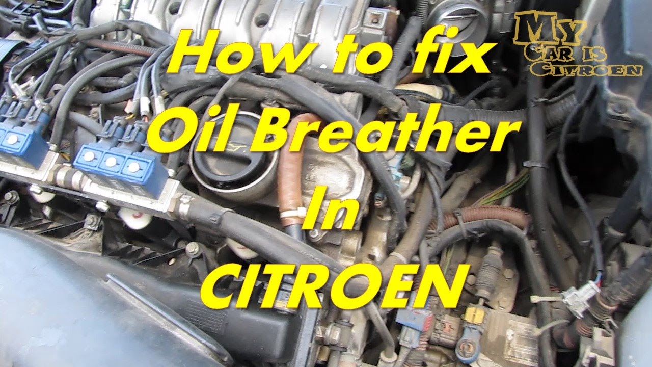 Citroen Dispatch Van C4 C5 1.6 hdi diesel fuel pipe hose