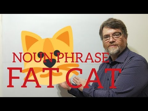 English Tutor Nick P Noun Phrase (61) Fat Cat