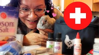 Complete Chicken First Aid Kit Mostly Natural