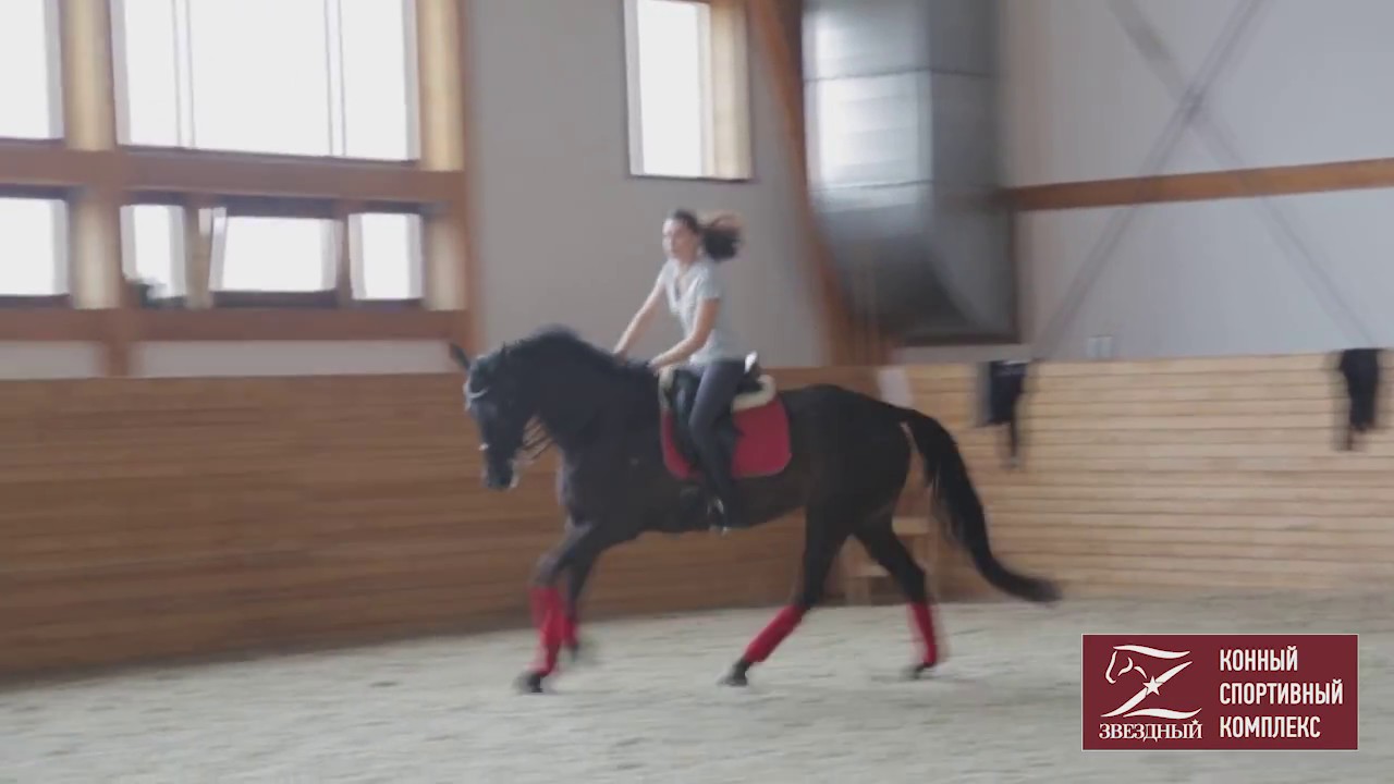 Школа верховой езды КСК Звездный - YouTube