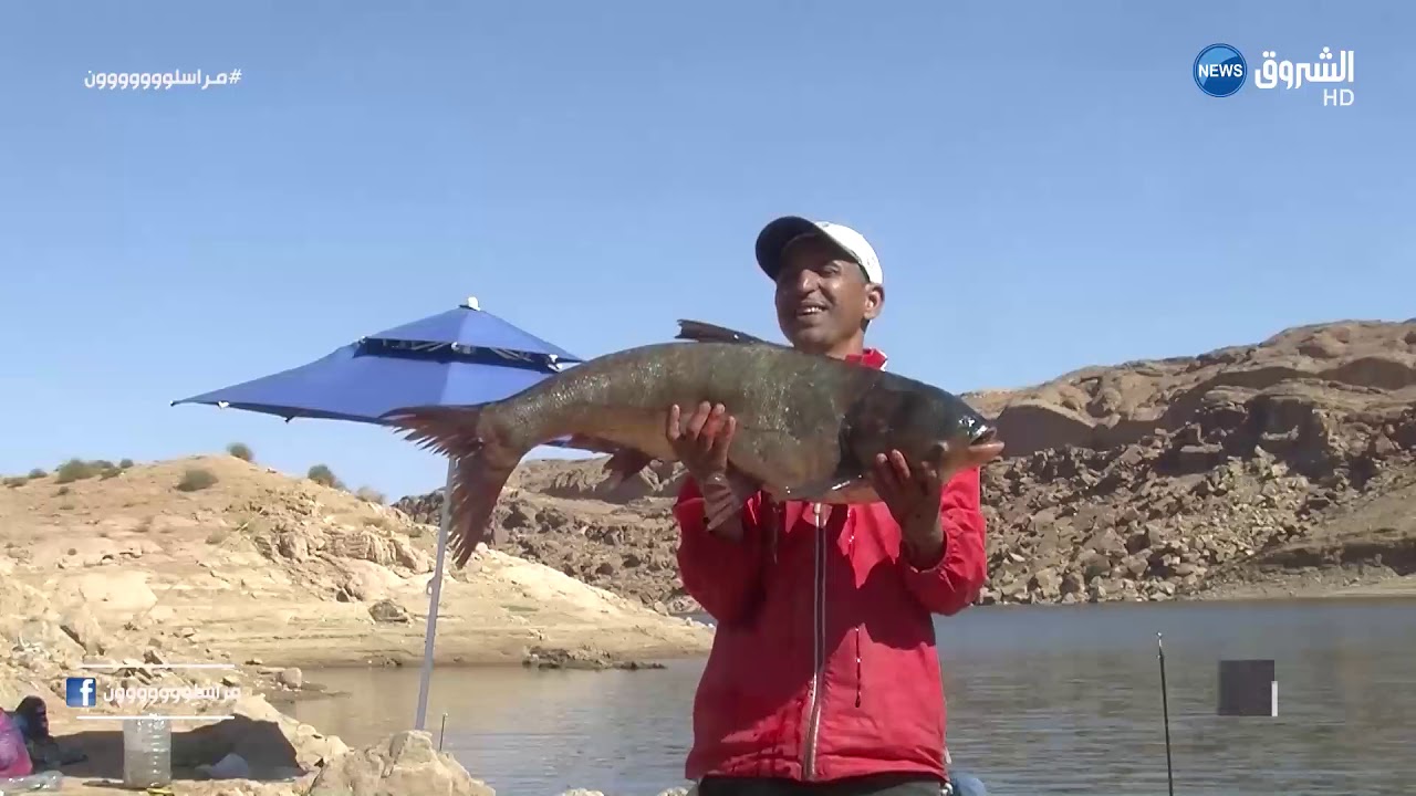 البيض : العربي قدوري صائد ماهر للشبوط بسد لروية   بريزينة