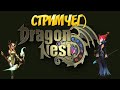 Ночной стрим New Dragon Nest