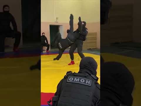 черный ниндзяка