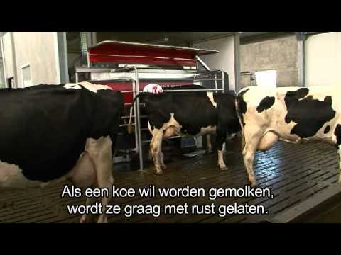 Lely Astronaut A4 - Benefits cow (Dutch)