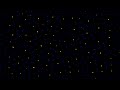 Particle Life Simulation - 2026-06-06 [1 Hour]