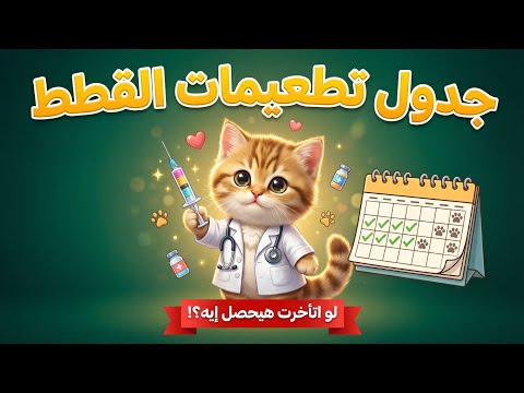 جدول تطعيمات القطط من أول يوم لحد سنة لو اتأخرت هيحصل إيه