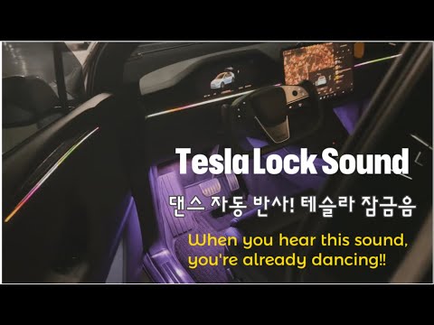 [일상 기록] 몸이 먼저 움직이는 테슬라 잠금음 | Tesla Custom Lock Sound #tesla#modelx ...