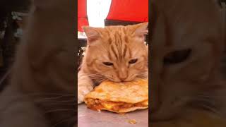 Naranjito ASMR prueba las quesa birrias en un tianguis de Ciudad de México