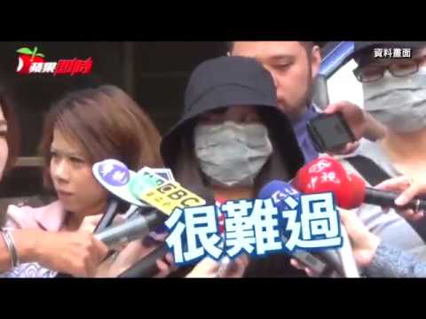 涉抄襲愛蜜莉波奇貓　宅貓妙可被起訴 | 台灣蘋果日報