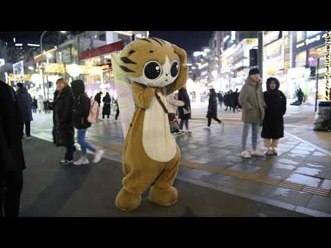JHKTV] 신촌 명물고양이지금몇시  shin chon special <strong>cat</strong>  what <strong>time</strong> is it <strong>now</strong>