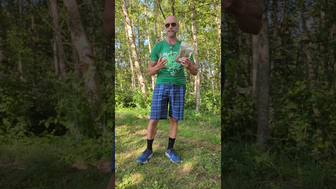 My $15 Ounce of Legal Weed From a Washington State Dispensary. 