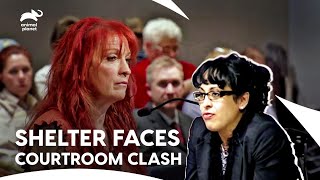 Villalobos Faces Judgment Day Over Rescue Plans | Pit Bulls & Parolees S3 E1,2,3 | Animal Planet