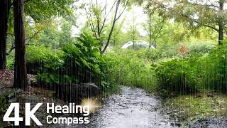Rain Falling on a Small Forest Stream, Clear Water Sounds & Raindrops on Leaves, Peaceful Rain ASMR screenshot 3