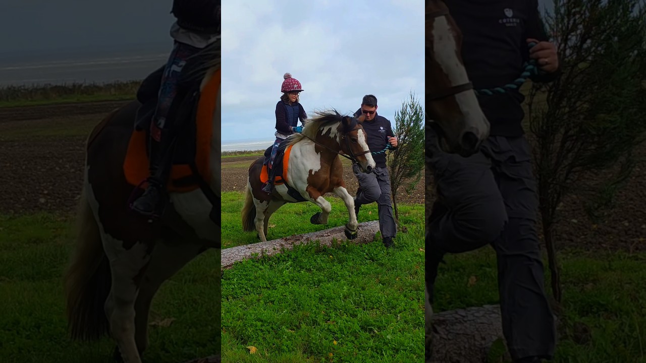 Веселая охота за сокровищами 