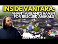 Inside anant ambanis vantara  reliance foundations animal rescue  care facility  n18v