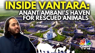 Inside Anant Ambani's Vantara | Reliance Foundation's Animal Rescue \& Care Facility | N18V