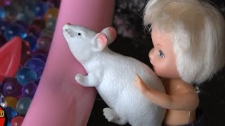 Мультфильмы 2016, Томми сынок Барби принес Огромную Белую Крысу, Сериал Барби 2016 Мультфильмы 2016, Томми сынок Барби принес Огромную Белую Крысу, Сериал Барби 2016