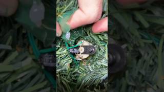 Repairing Eyesmouth Gemmy Dancing Douglas Fir Talking Tree