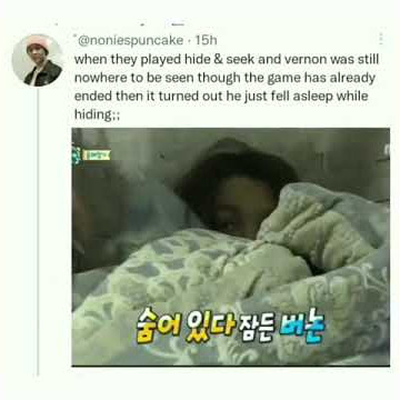 Vernon slept while playing hide and seek😂😍❤