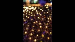 Winter Love Letter  -  Hiroshi Umeuchi