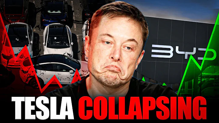 Elon Musk PANICS After Tesla Sales COLLAPSE Against BYD!
