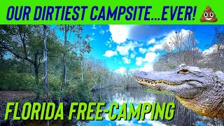 [Ocala, Florida] — FREE CAMPING— A bear visits our campsite & paddleboarding with ALLIGATORS