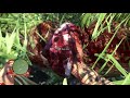 Far Cry 3 (Episode 6)