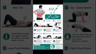 Back Pain Relief Exercises to Reduce Pain | Kamar Ka Dard Ki Care Kaise Karen at Home