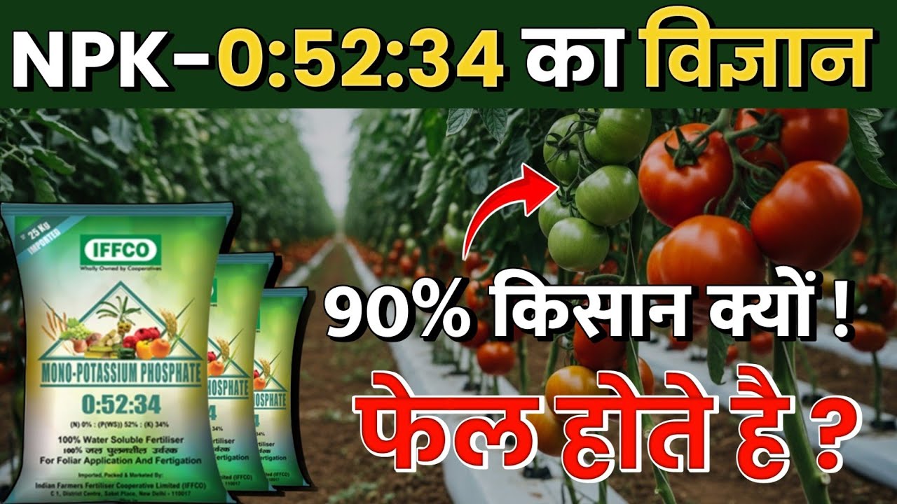 NPK 05234 | NPK 05334 का असली विज्ञान | NPK 05334 uses 