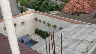 Pemasangan Besi Balok Wiremesh Dan Bondek Untuk Dak Beton