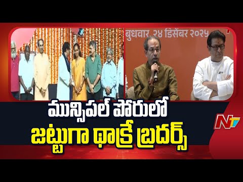 Maharashtra: మహారాష్ట్ర మున్సిపల్ పోరులో జట్టుగా థాక్రే బ్రదర్స్ | NTV Telugu - NTVTELUGU