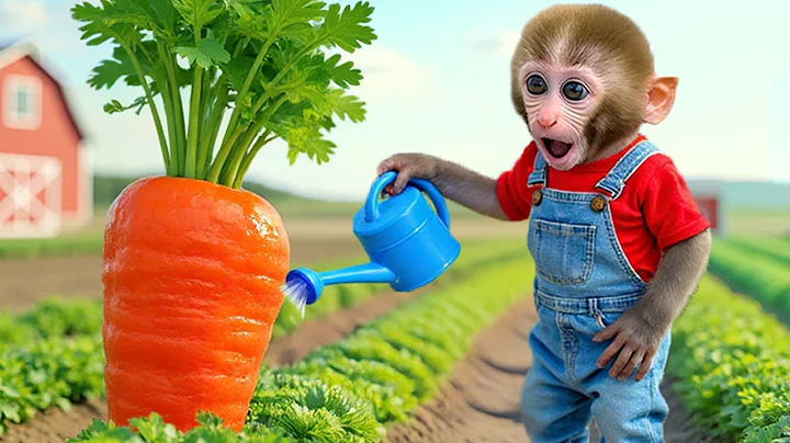 Monkey Nana Drives a Tractor and the Unexpected Adventure of the Giant Carrot - NANA MONKEY LIFE