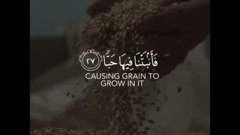 شيء من سورة .عبس . حالات واتساب بصوت اسلام صبحي