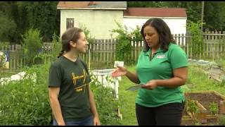 Community Garden (Roanoke, VA)
